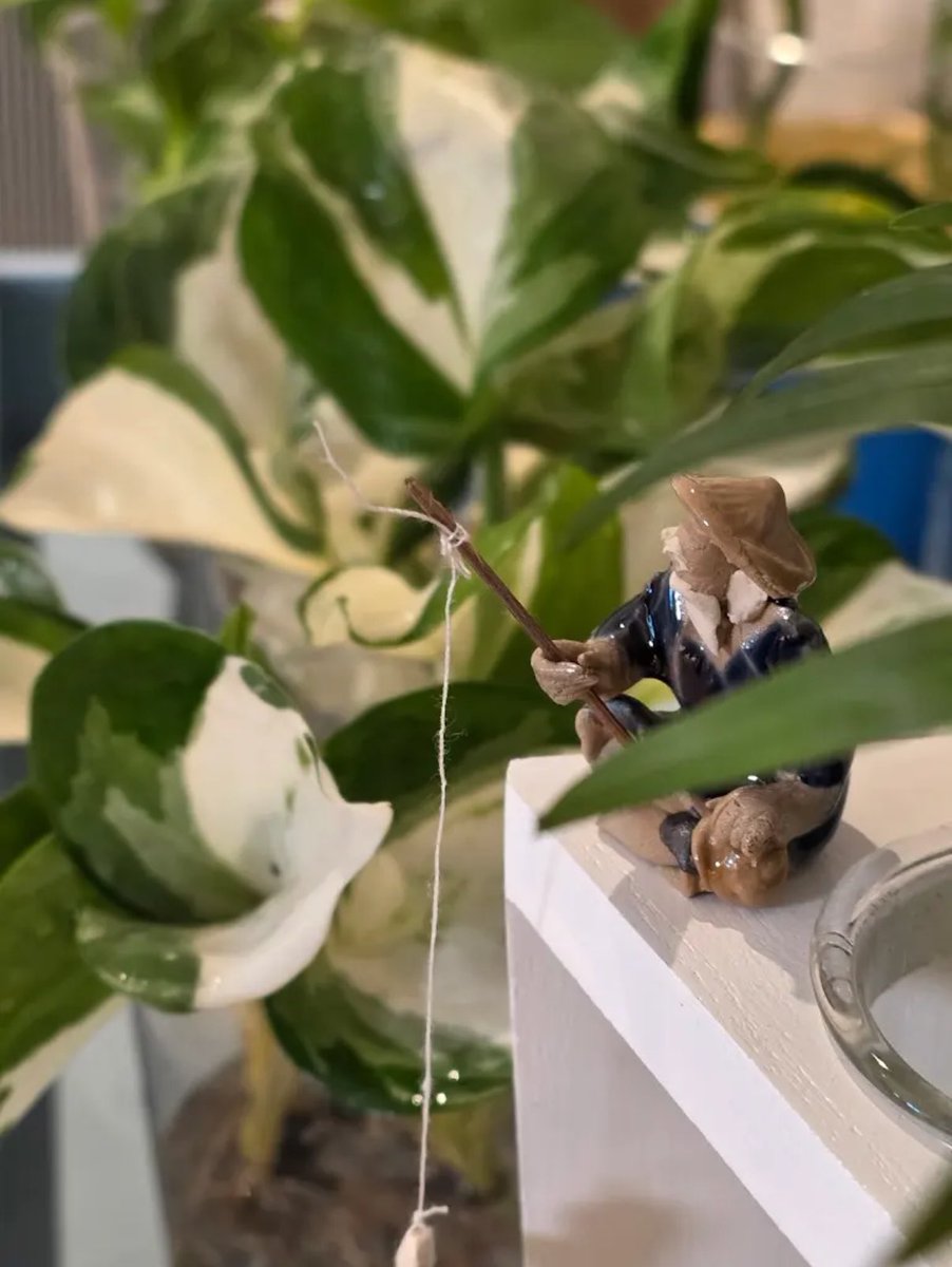 mellow_d6's tweet image. 도운이의 시선