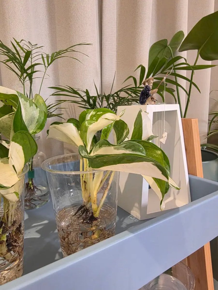 mellow_d6's tweet image. 도운이의 시선