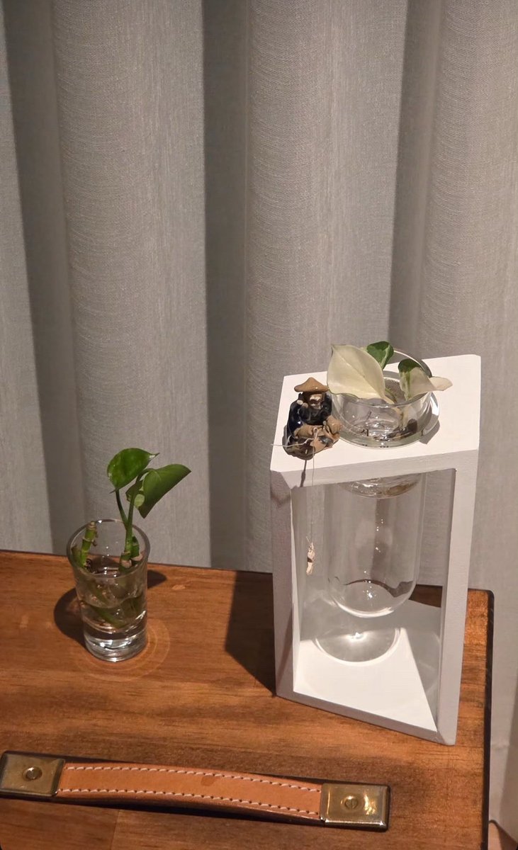 mellow_d6's tweet image. 도운이의 시선