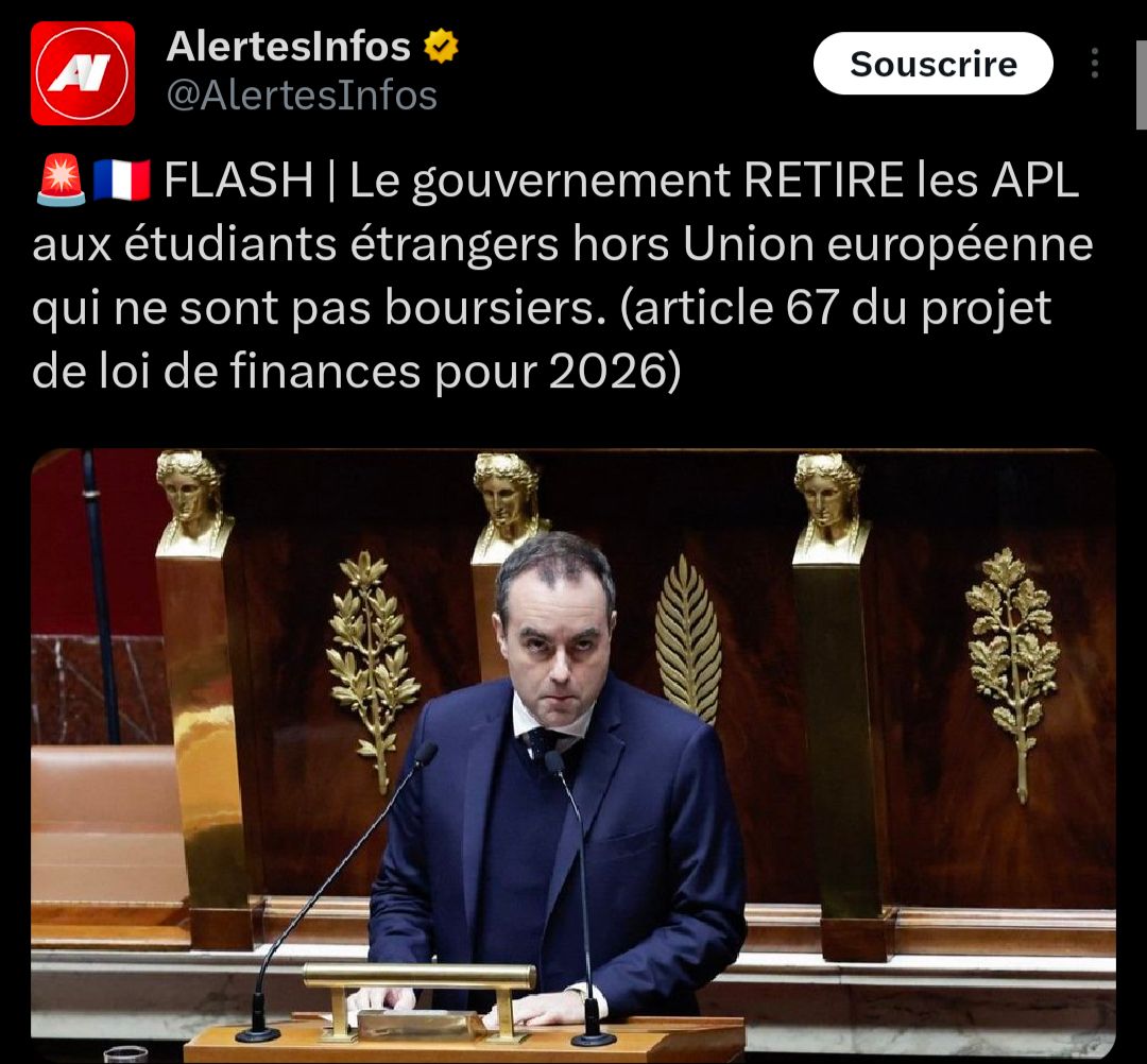 Regelegorila tweet media