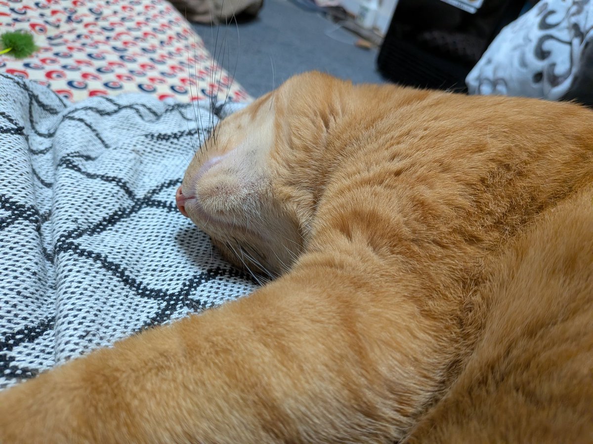 Garide's tweet image. 