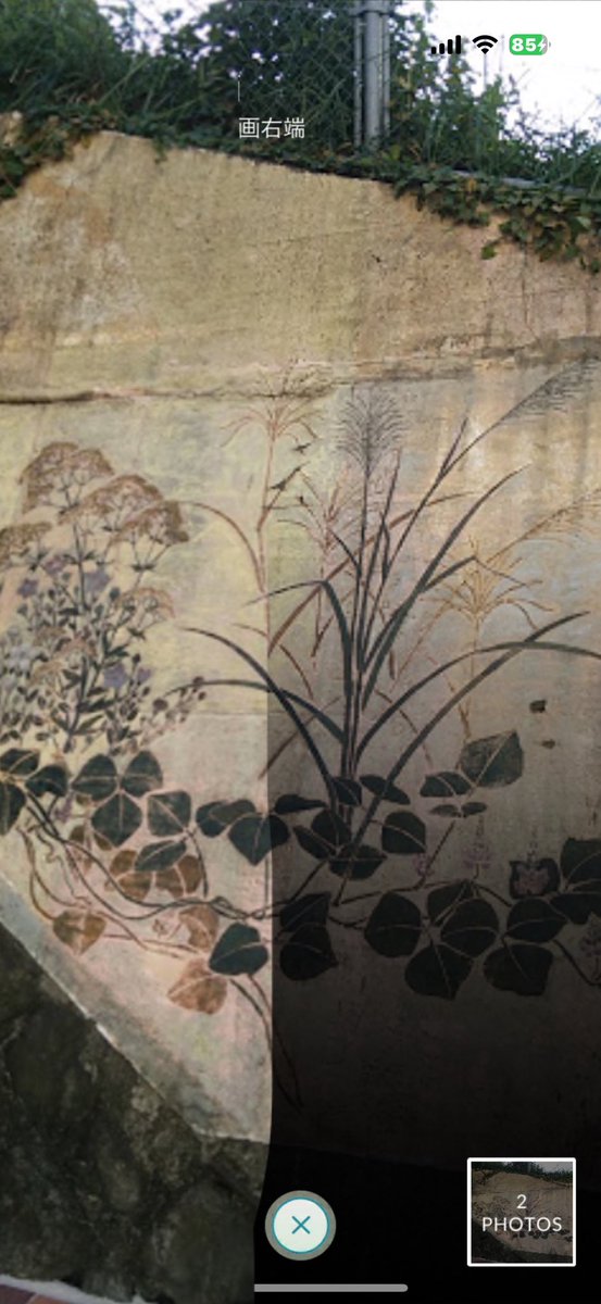 tkc103stone🇯🇵 tweet media