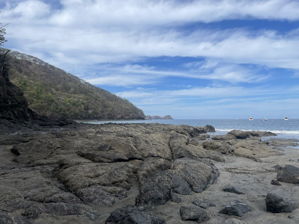 Coach Gore tweet media