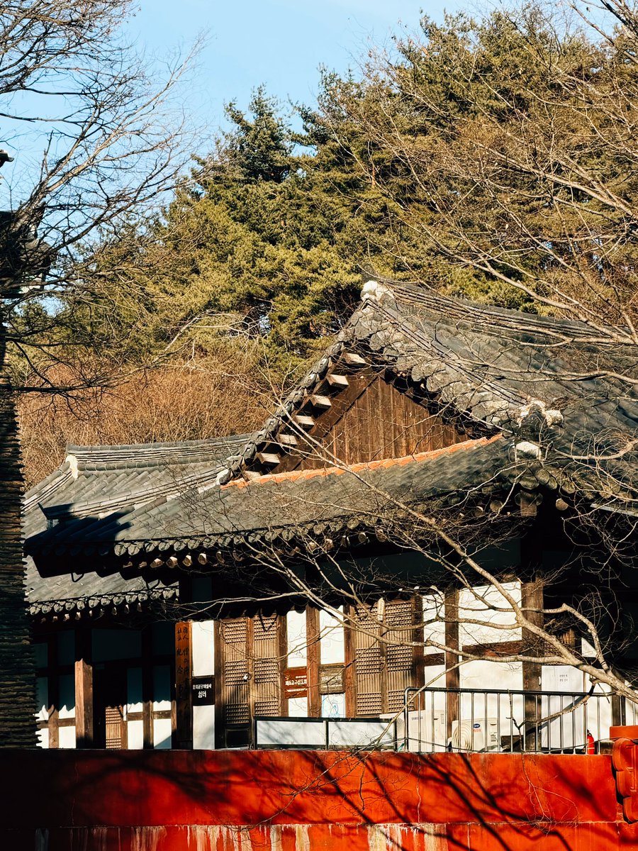 겨울의 절은 참 따뜻한데 차가워