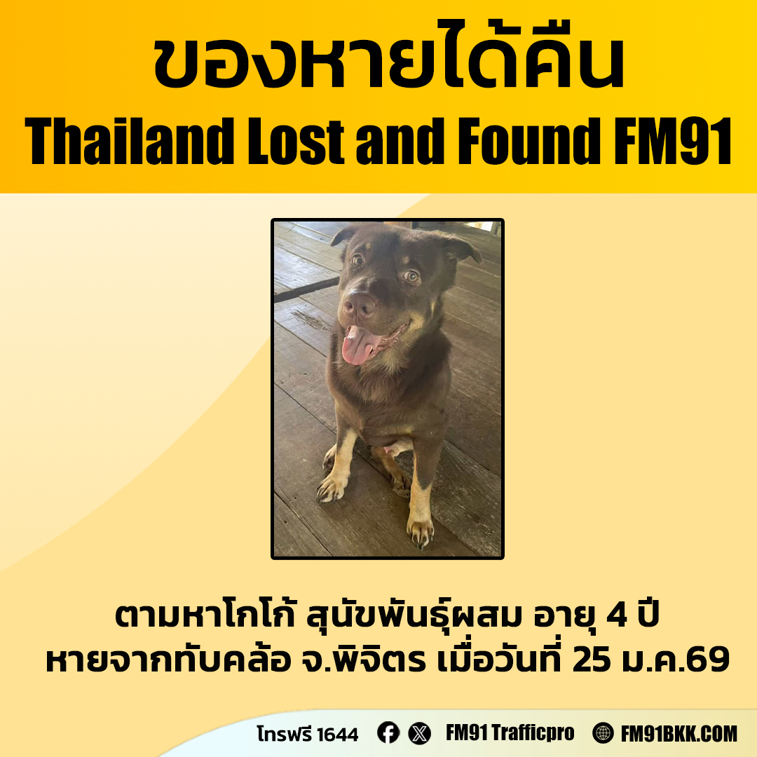 ผู้ใช้เฟซบุ๊ก ไอ ซี' อี แจ้งตามหา น้องหมา หายไป 

สุนัขพันธุ์ผสม ชื่อ โกโก้ อายุ 4 ปี ลักษณะ ขนลำตัวสีน้ำตาล น้องจะตัวใหญ่ๆ หางกุด หายออกจากบ้าน วันที่ 25 มกราคม 2569 ตอนเซ้า เขตทับคล้อ จ.พิจิตร 

ถ้าพบเห็น หรือมีเบาะแส โปรดแจ้ง 095 645 1018
facebook : ไอ ซี' อี
instagram :