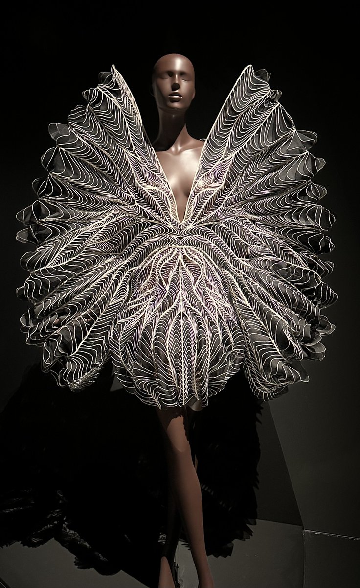 Eline Op de Coul tweet media