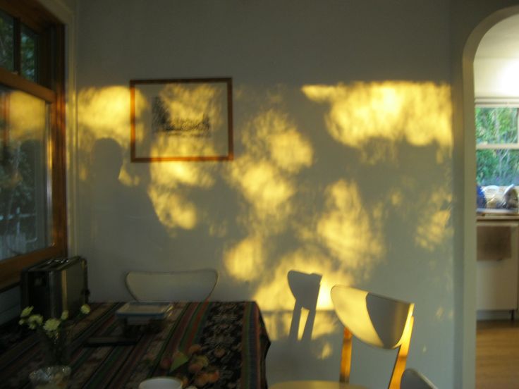 𝖊𝖇𝖗𝖚 (@ben_ebruuuu) on Twitter photo 