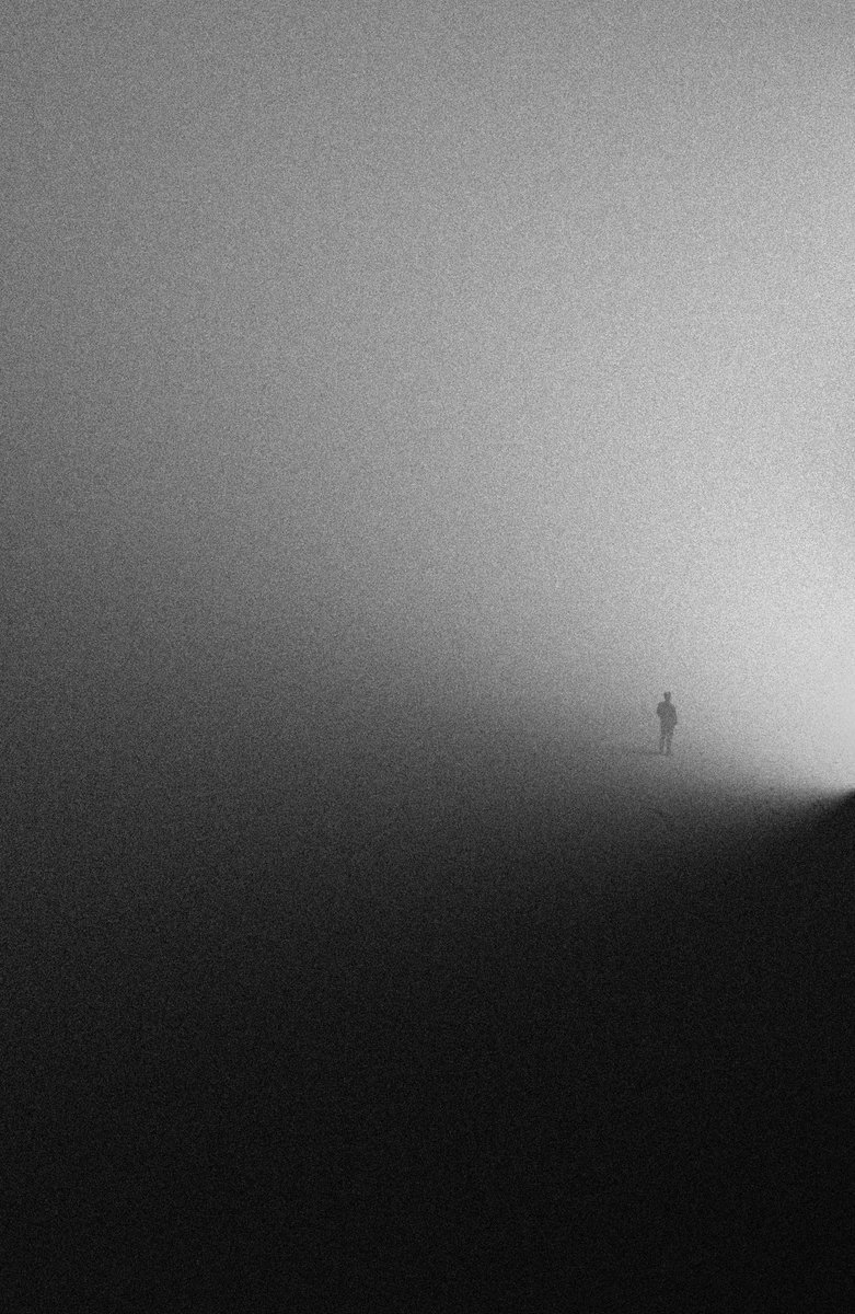 Manfredi Caracciolo tweet media