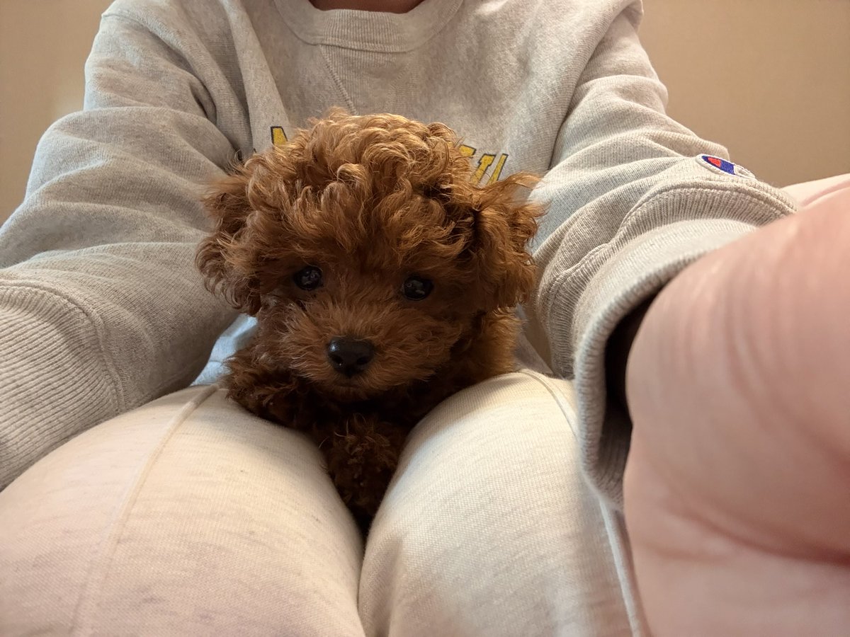 tomochin_yui's tweet photo. 旦那よ、中途半端に世話するならやらないでほしい。 https://t.co/AsZzdEExCp