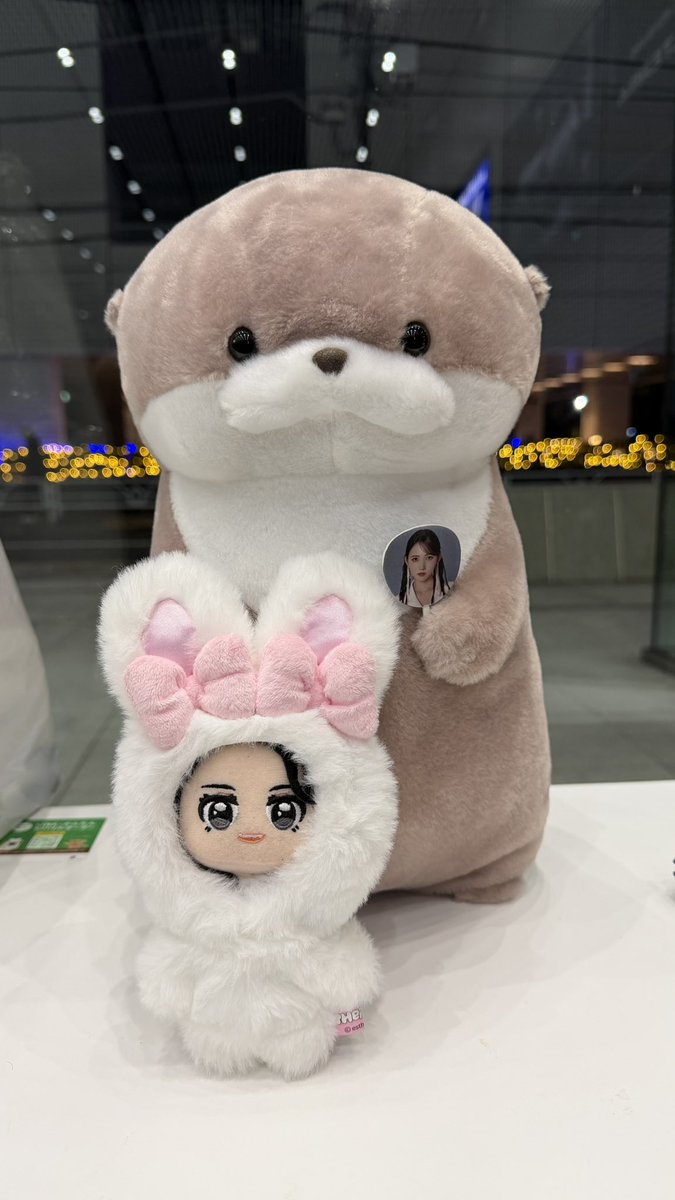 かわうそ様 カワウソも菜乃ちゃん応援してるよ📣