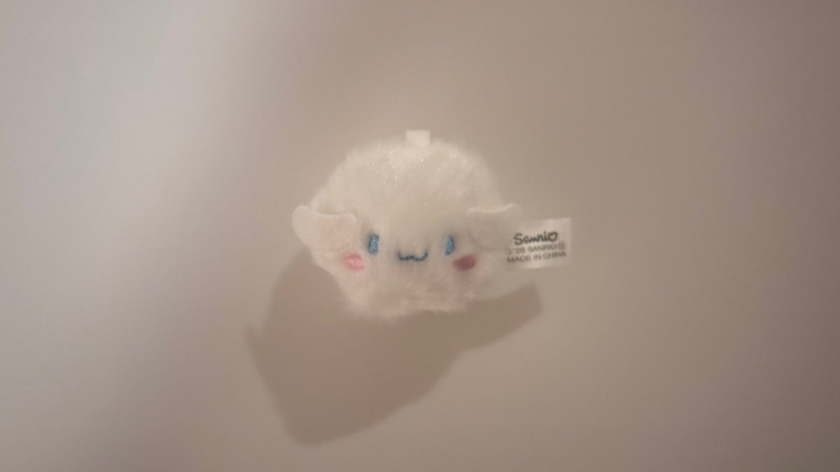 softlyhappydays's tweet photo. もふもふ𐔌՞･·･՞𐦯ᢉ𐭩 ᩚ https://t.co/DLYimyOj5X