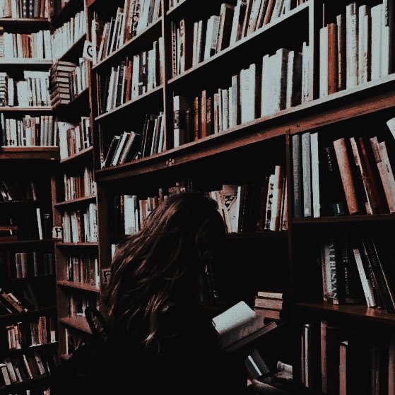 victoria tweet media