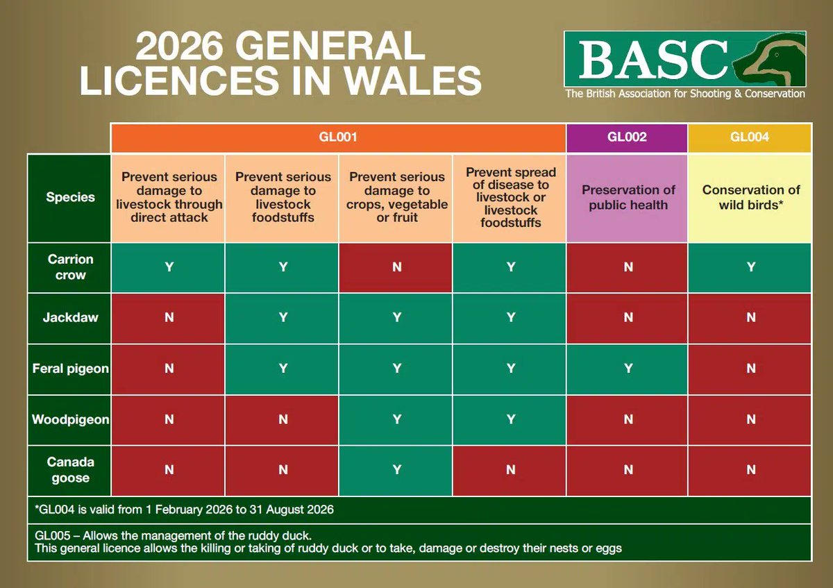 BASCWales tweet media
