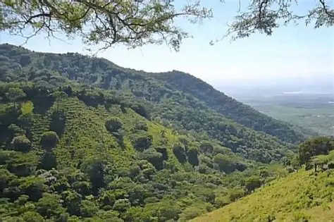 Oración y acción para detener la maldad avariciosa que destruye y trae muerte