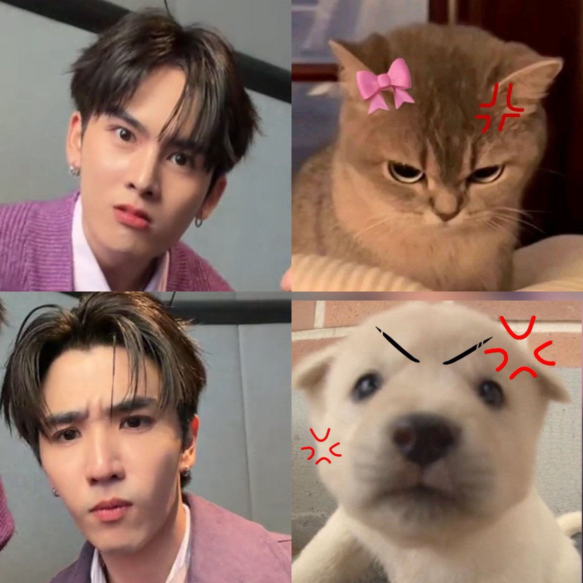 chubapie's tweet image. Angryyyy (  •̀⤙•́  )💢

PERTHSANTA BABYMATTE CUSHION
#MaybellinexPerthSanta