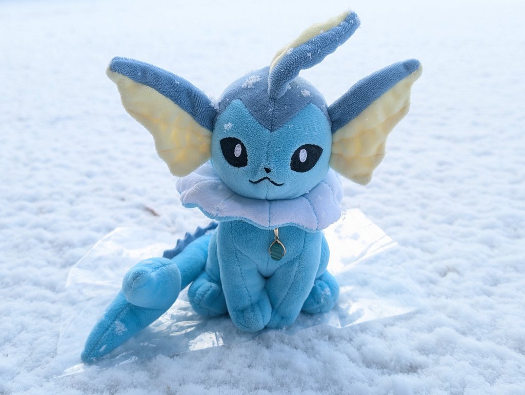 雪降ってたね、シャワーズ
リベンジチャンスだね