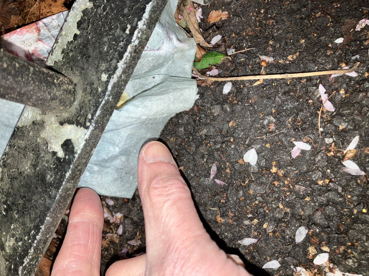 @_pickuplitter tweet media