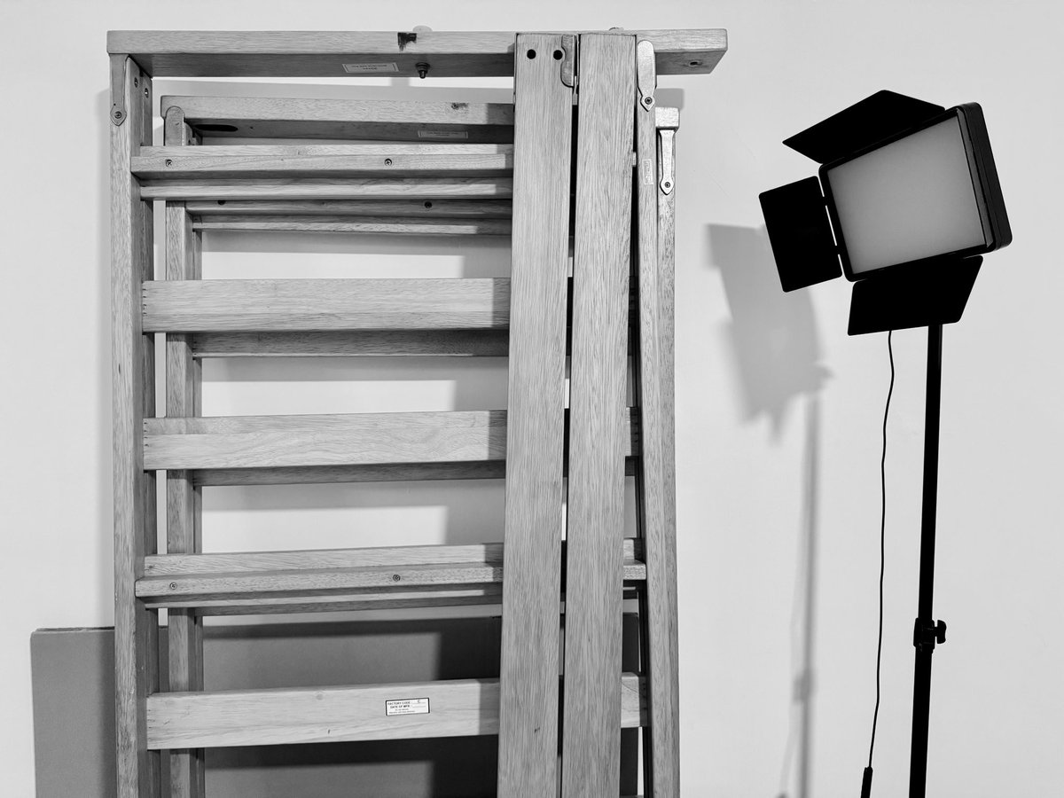 Coney Inu (Cyrus Kwok) tweet media