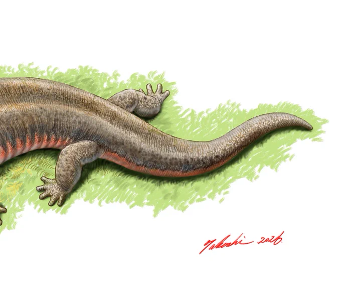 Shirerpeton isajii