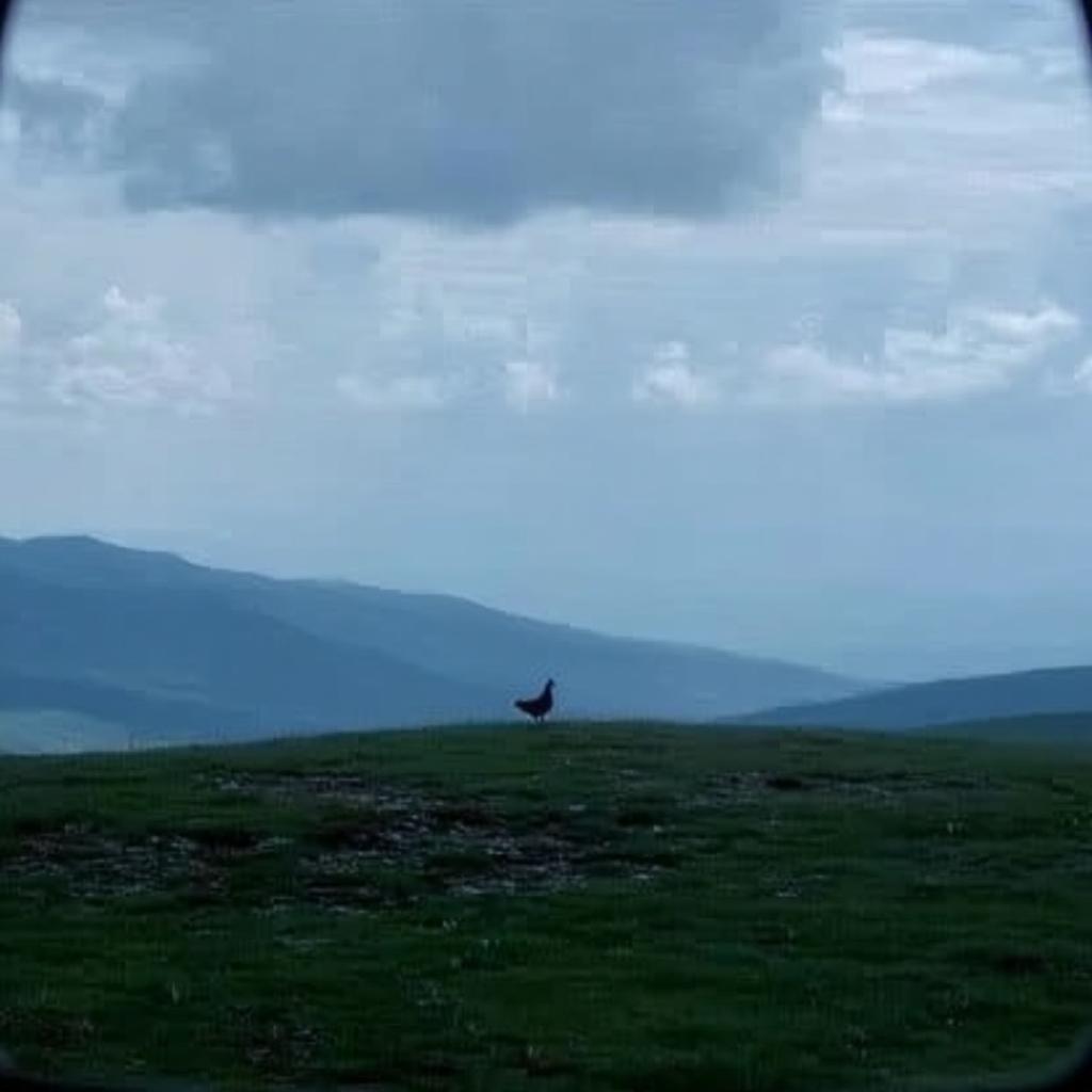 Retarded Chicken tweet media