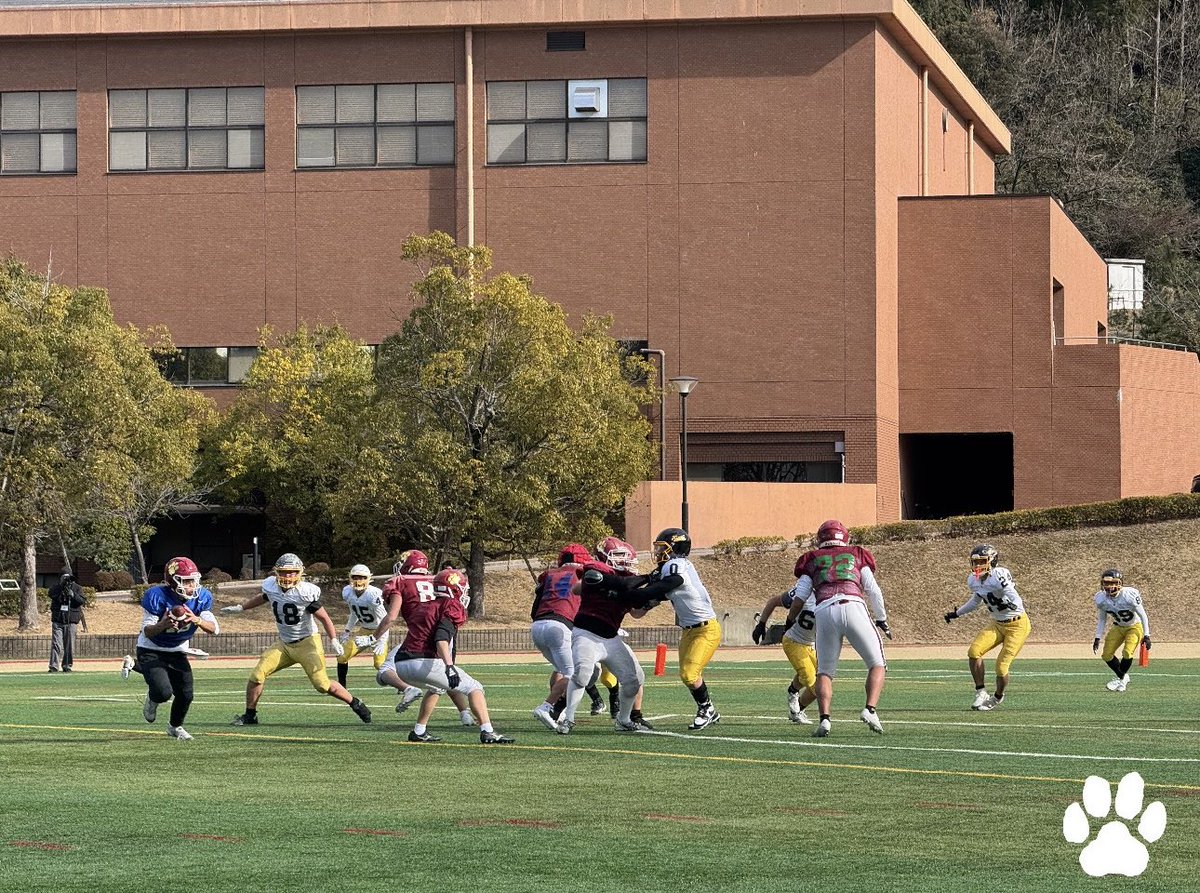 本日、関西大学第一高等学校／KAISERSの皆さんと合同練習を行いました。
互いに切磋琢磨できる貴重な機会となり、とても充実した時間になりました

関西大学第一高等学校の皆さん、有難うございました！🔥

#立命館宇治パンサーズ #高校アメフト