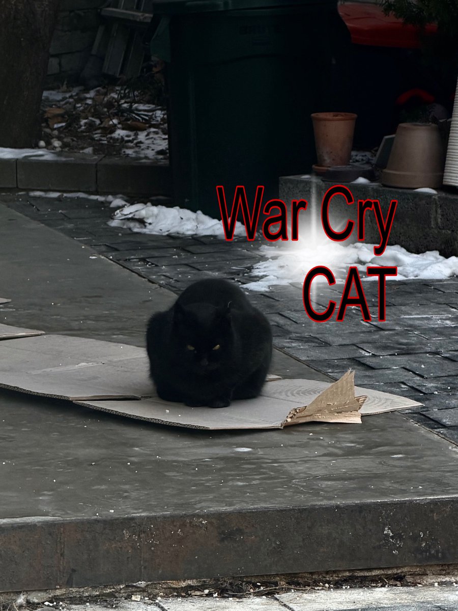 오늘 1루 
워크라이 고양이 봤어요 ♥︎