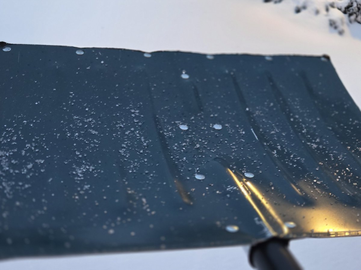 David Peterson tweet media