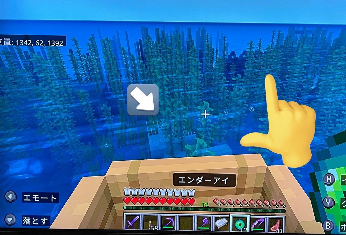 初めて自力でエンド要塞見つけたけど海の中でご近所に海底神殿かぁ。
先にトライデント作んなきゃ｡ﾟ(ﾟ´ω`ﾟ)ﾟ｡ﾋﾟｨ-