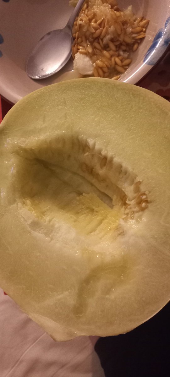 Melón 🍈 tuna.
Exquisito.