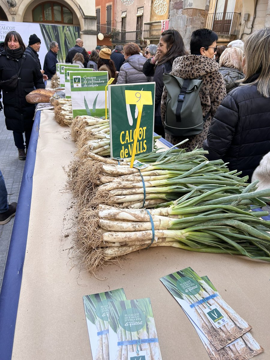 ROSA_M_IBARRA's tweet image. Avui Valls fa olor de calçot. Un any mes la Gran Festa de la Calçotada omple carrers i places de la nostra ciutat de visitants que volen conèixer i tastar la calçotada tradicional i les novetats que al voltant del calçot van sorgint.
#calçotada
#Valls