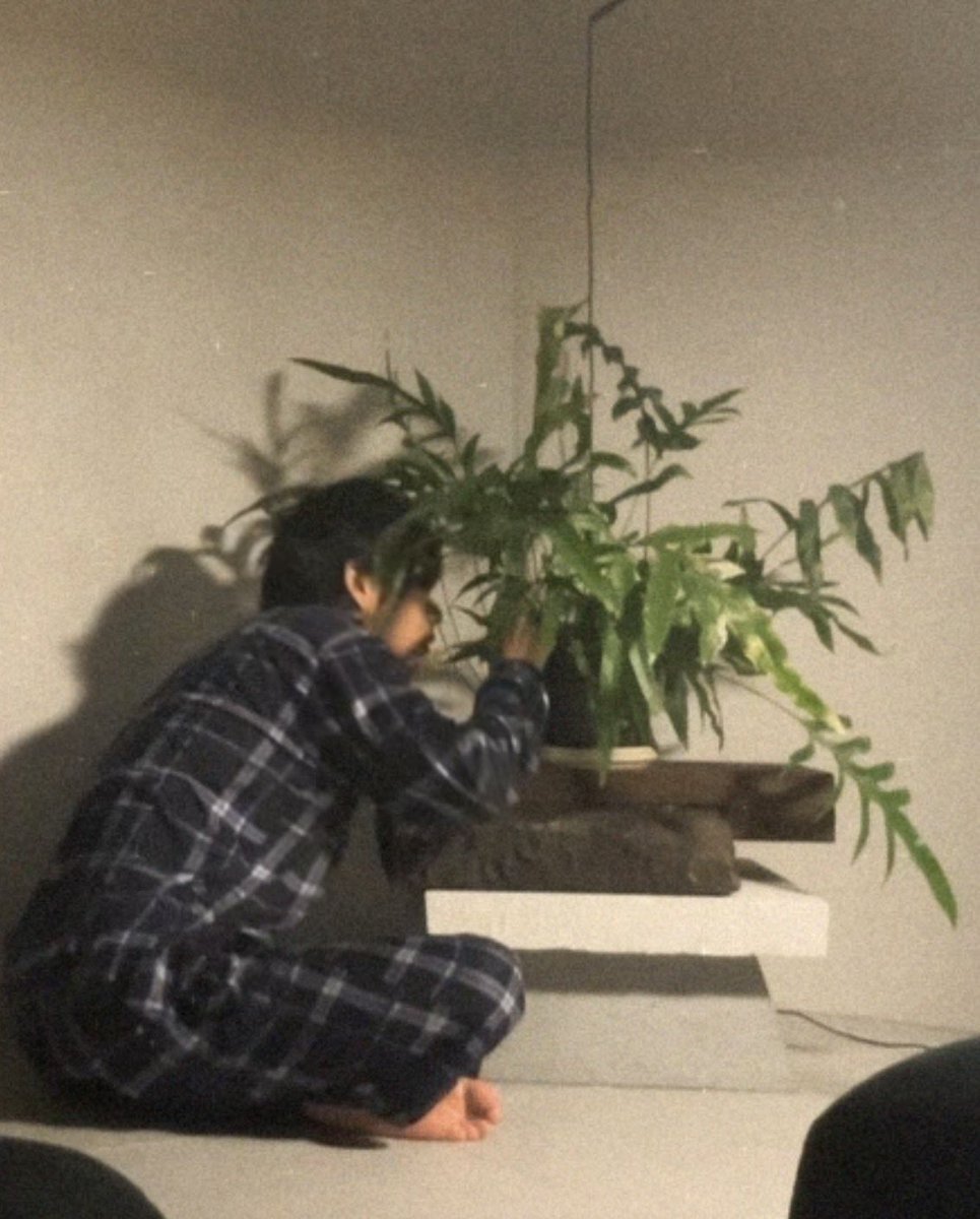 식린이치고 멋지고큰 아이를 입양했네 ㅋㅋㅋㅋㅋ
하 볼봐 너무 궈여워 ㅋㅋㅋㅋㅋ같은 식린이인거 너무 좋아 나💚🌿🌱 잘키워내자 너도 나도 식린이화이팅 !!!