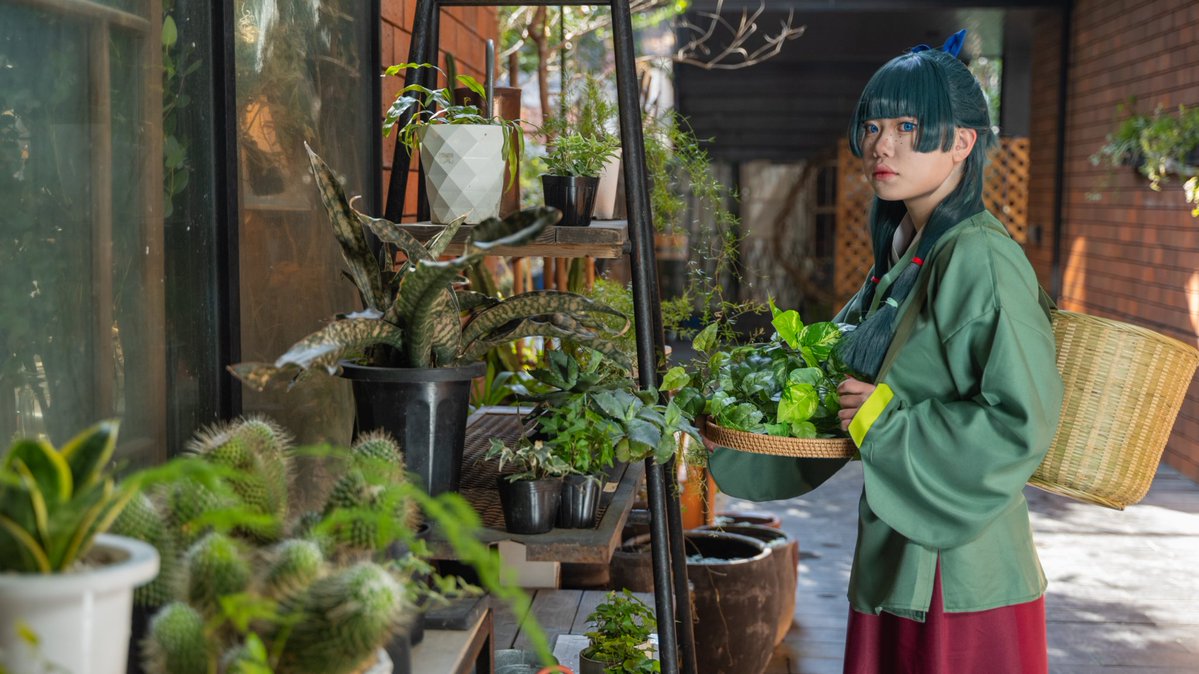 ⚠️コスプレ⚠️
薬屋のひとりごと〜猫猫〜
📸 <a href="/karuma60/">パーシー</a> 
 #らぶ光