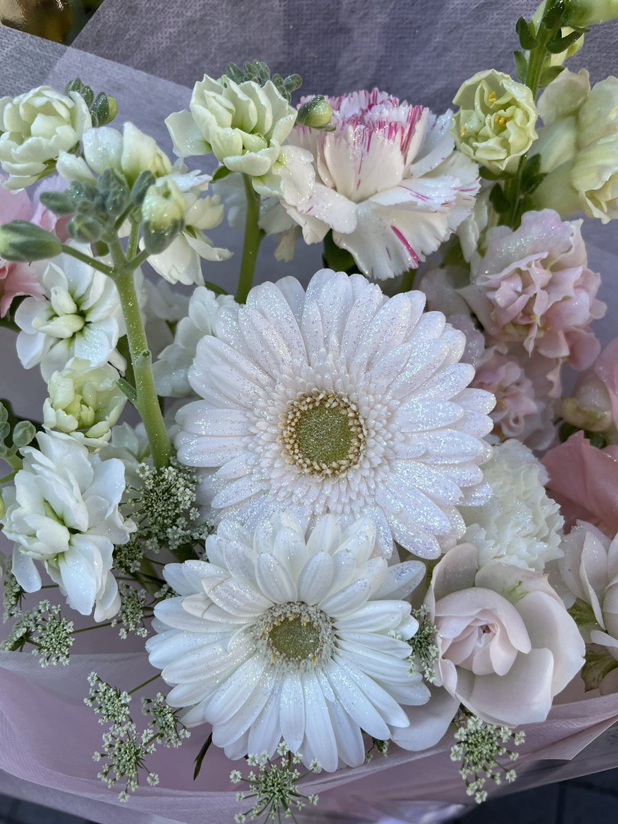 RepiDoll【公式】 tweet media