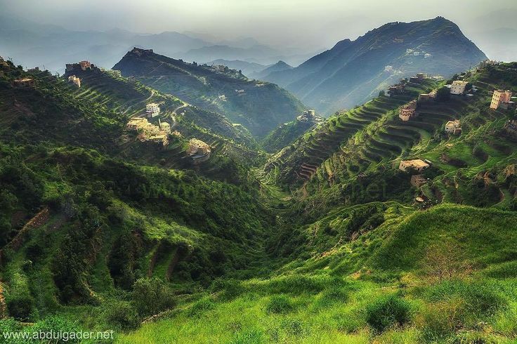 lightshadow111's tweet image. 