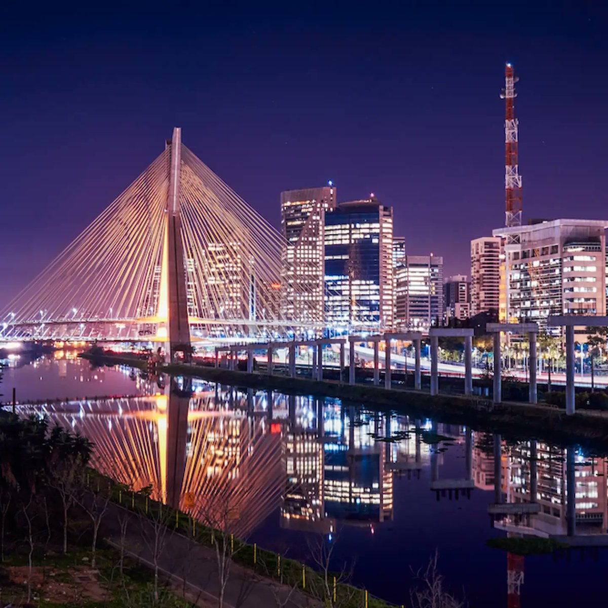 salvetricolor3 tweet media