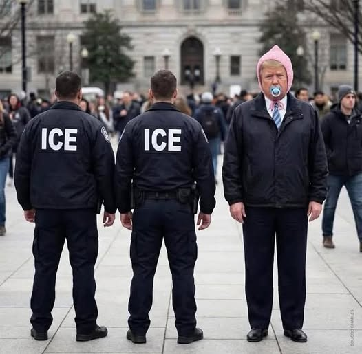 dave lawrence 🐟🐟🐠 tweet media