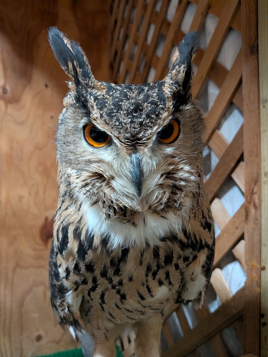 ただいま〜。ご飯持ってくるから、もう少し待っててね