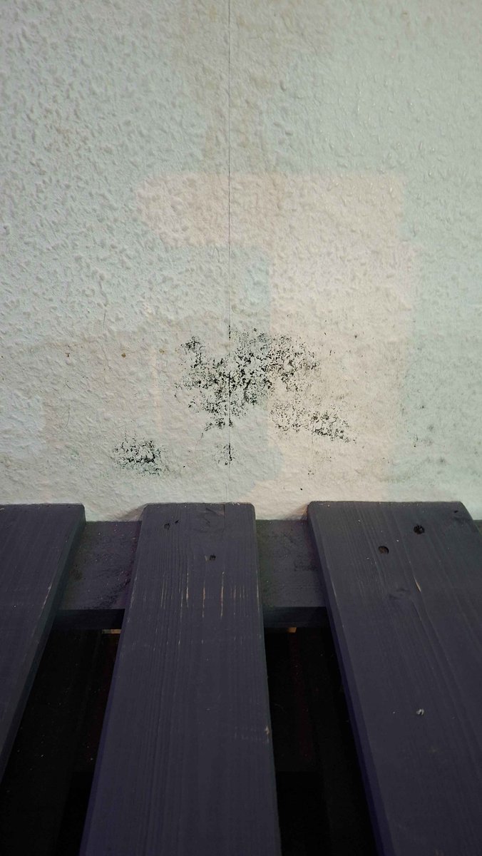 MikeAmMic_'s tweet photo. Wir starten 20206 mit einer kleinen Streampause wegen:

Nasse Wand mit Schimmel neben dem Bett...

heißt ich muss provisorisch umbauen damit a) der Fleck freiligt, und b) ich das nicht mehr inhalieren muss als zwangsweise "nötig"... https://t.co/JfoEQ13QUr