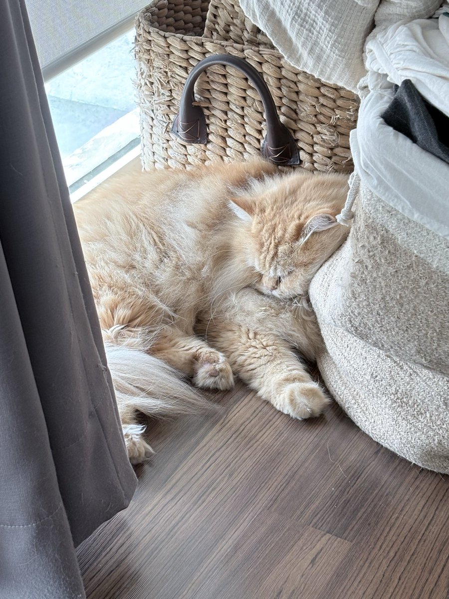 Kania Sutisnawinata tweet media