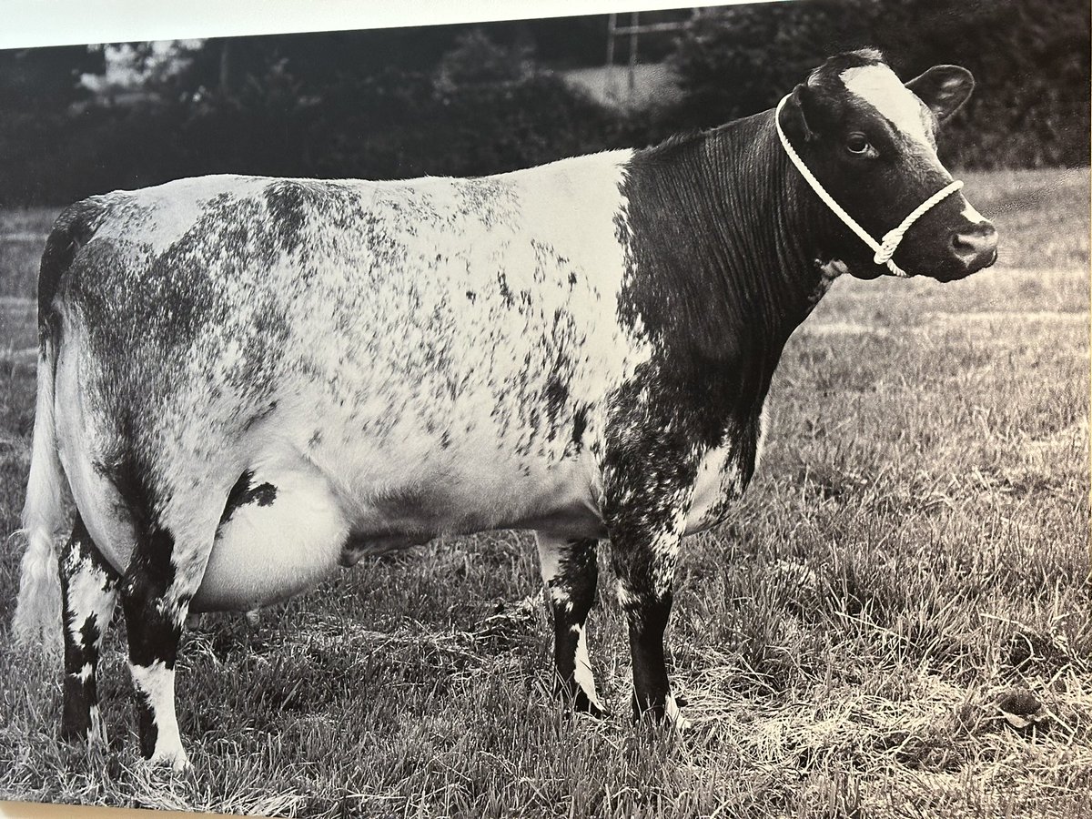 Andy Jones tweet media