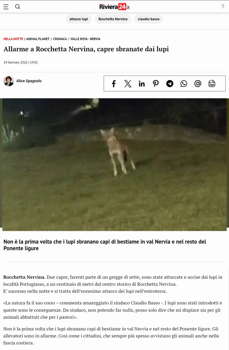 Prima introducono il lupo a "cazzum" per contrastare i cinghiali, introdotti dall'uomo e fuori controllo, poi non sanno più come controllare i lupi
E i lupi scendono in paese
E questo non va un cazzo di bene
<a href="/Lisuccen/">Lisa Scuderi</a>
