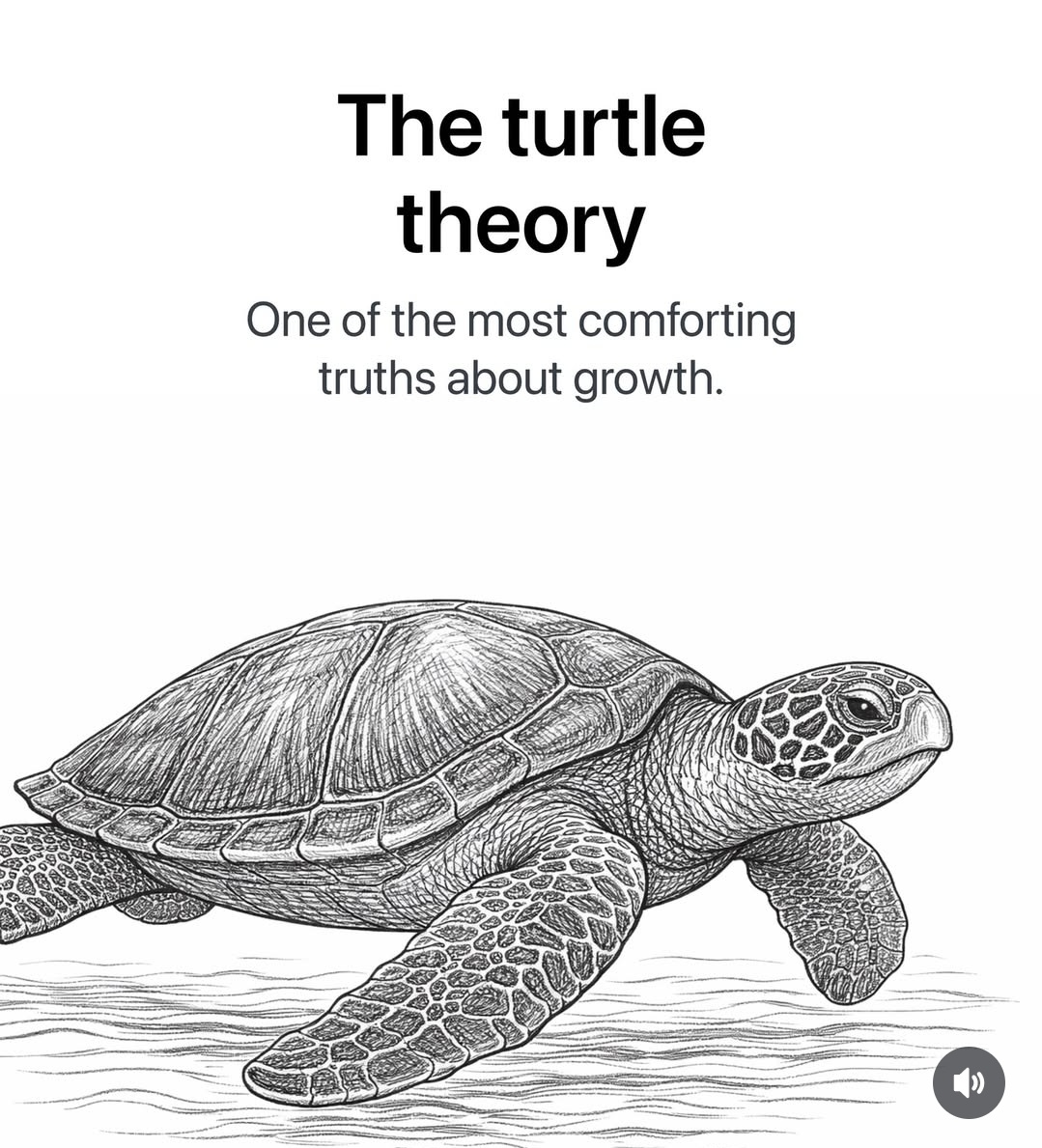 minds_eminent's tweet image. THE TURTLE THEORY :

(One of the most comforting truths about growth)

//THREAD//🧵