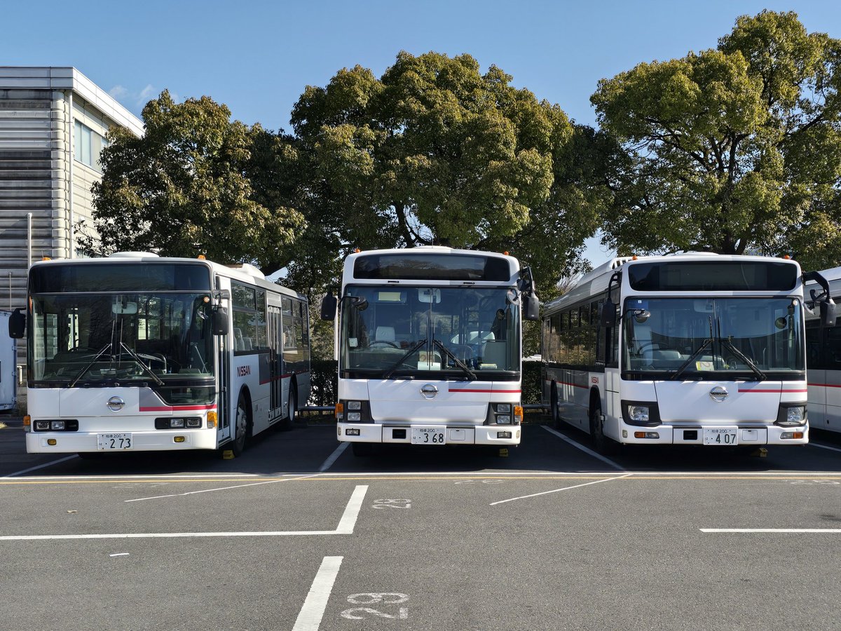 まるお MASAHIROMARUYAMA｜MM0037 - 3｜PRODUCT｜Continuer Inc.｜メガネ