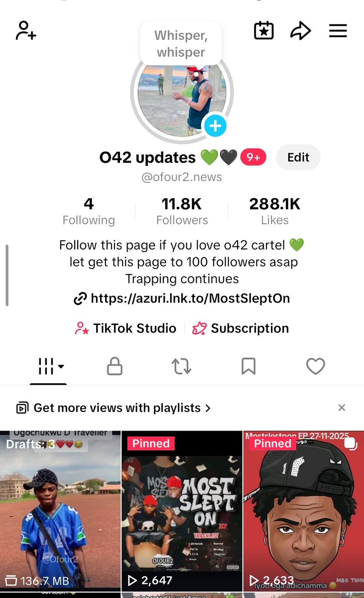 Thank you Tiktok ! 💚