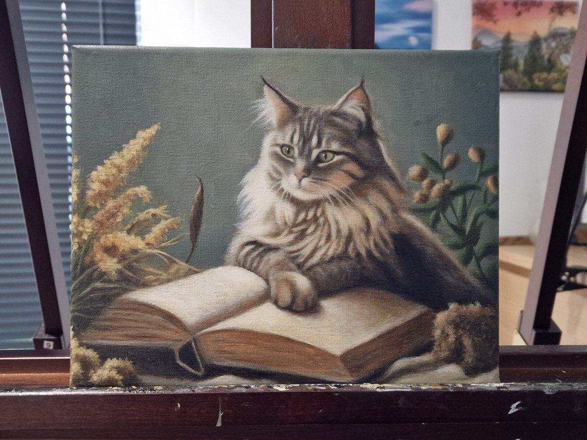 NorskViking1's tweet image. Cat with book. Oils on 8x10 canvas #oilpainting #smallworks #sundaymotivation #mainecoon #catpainting #catlover