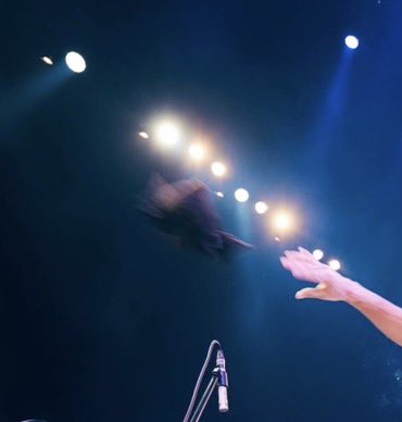 Teru_SL13's tweet image. ライブ中になぜか服が無くなることが悩みだったのですが今日ようやく原因が判明しました。

こんなことになっていたんですね。