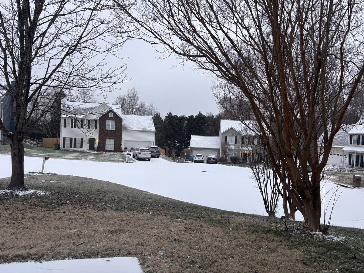 this mickey mouse ass ice storm