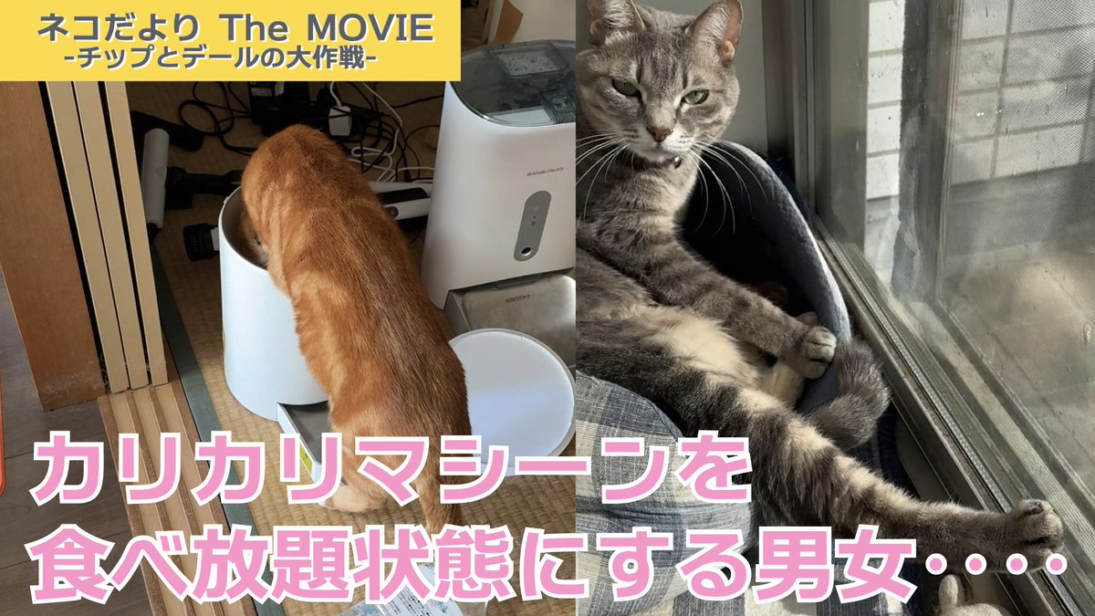 拓さま (@takusama1977) / Posts / X