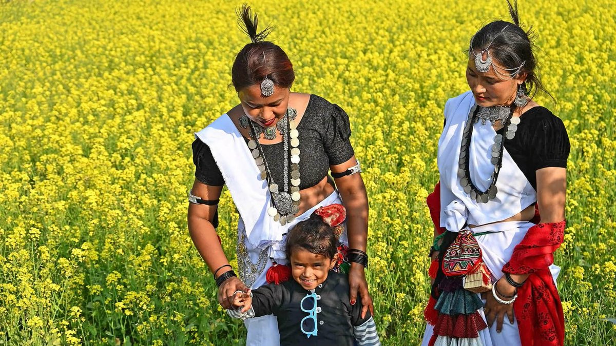 nepaltourismb's tweet photo. The vibrant mustard fields of #Sauraha #Chitwan #NepalNOW. ✨As springs arrives, Nepal's southern plains showcase stunning mosaic of yellow mustard in bloom.🌾
Beyond, #Terai offers lush jungles, diverse wildlife, and the warm hospitality and experience of local culture. https://t.co/0iE4mt3AQO