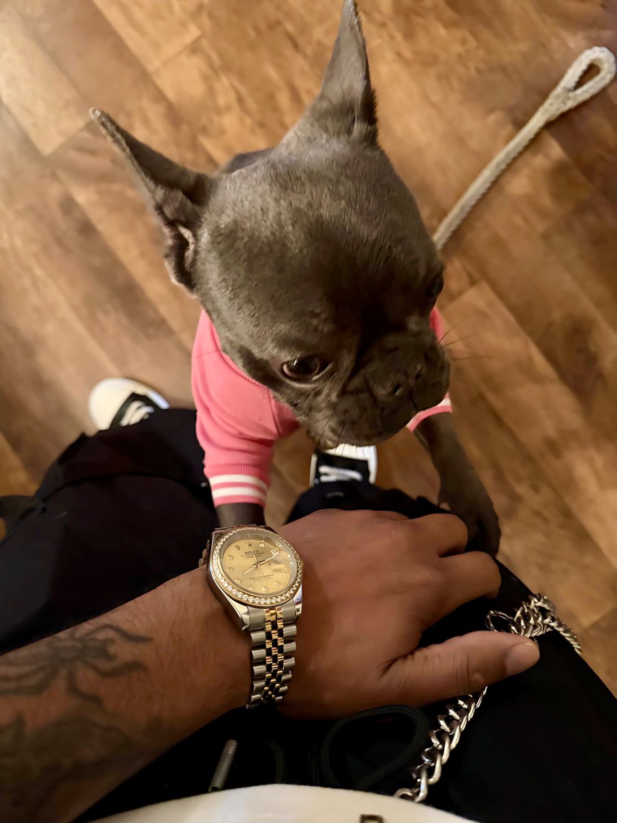 WaveKD's tweet image. 2026